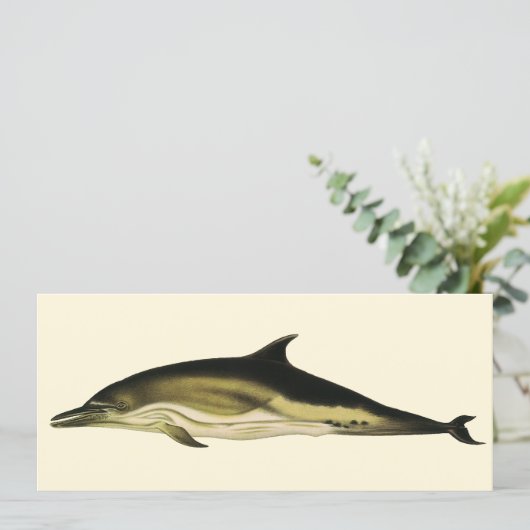 Carte Dolphin Delphinus Delphis, Mammifères marins Vinta (Debout devant)