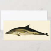 Carte Dolphin Delphinus Delphis, Mammifères marins Vinta (Devant / Derrière)