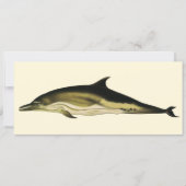 Carte Dolphin Delphinus Delphis, Mammifères marins Vinta (Devant)