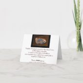 Carte DOLPHIN DREAMING Aboriginal (Dos)