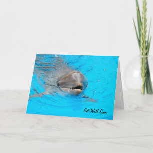 Carte Dolphin Get Well