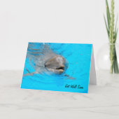 Carte Dolphin Get Well (Devant)