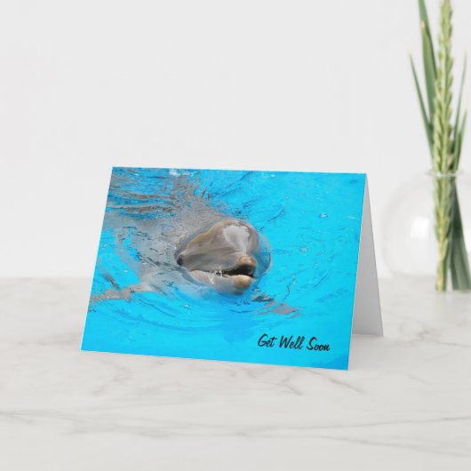 Carte Dolphin Get Well (Devant)