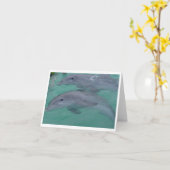 Carte Dolphin Note Cards (Fleur jaune)