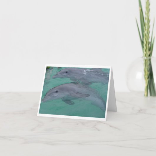Carte Dolphin Note Cards (Devant)