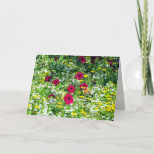 Carte Domaine des rêves