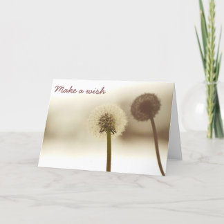 Carte d'ombre de pissenlit