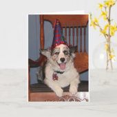 Carte DONC PRÊT À "FÊTE" POUR VOTRE ***40e ANNIVERSAIRE* (Fleur jaune)