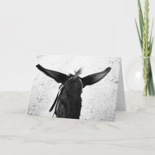 Carte Donkey (Devant)