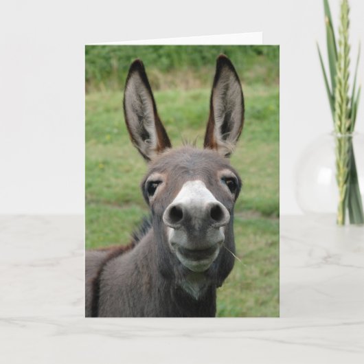 Carte Donkey (Devant)