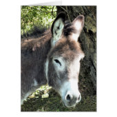 Carte DONKEY (Devant)