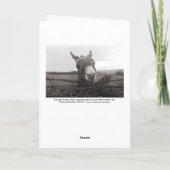 Carte Donkey amical - Photo Vintage (Dos)