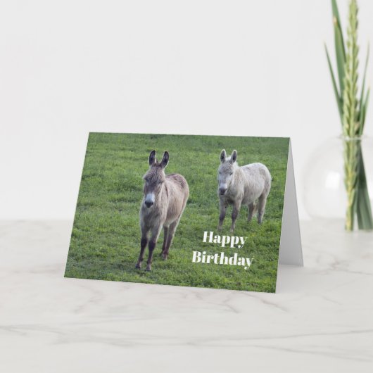 Carte Donkey Brown Tan Animal Photo Anniversaire (Devant)