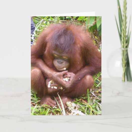 Carte Don't Share #1 - Wildlife greeting cards (Devant)