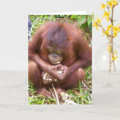 Carte Don't Share #1 - Wildlife greeting cards (Fleur jaune)