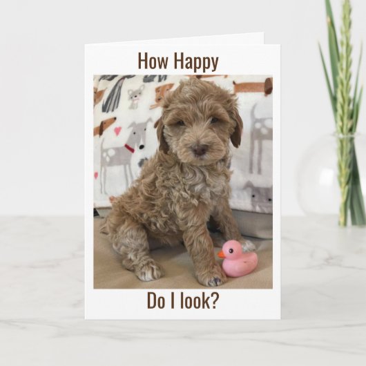 CARTE DOODLE PUP VOUS SOUHAITE UN **UN ANNIVERSAIRE TARD (Devant)