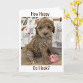 CARTE DOODLE PUP VOUS SOUHAITE UN **UN ANNIVERSAIRE TARD (Fleur jaune)