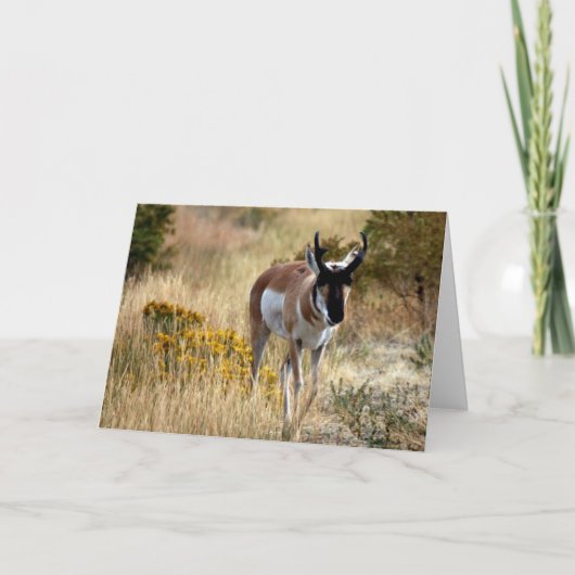 Carte doodles 742 (Devant)