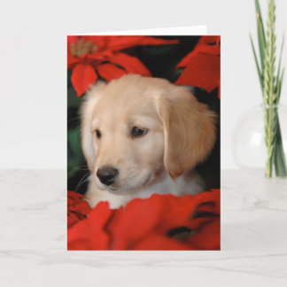 Carte d'or de chiot et de Noël de Poinsetta