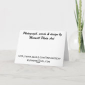 Carte d'or de la Fête des Mères (Dos)