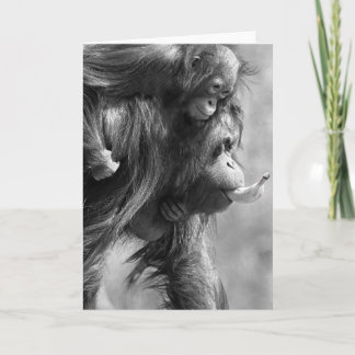 Carte d'Orangutan#8-Greeting