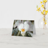 Carte d'orchidée à papillon blanc (Fleur jaune)