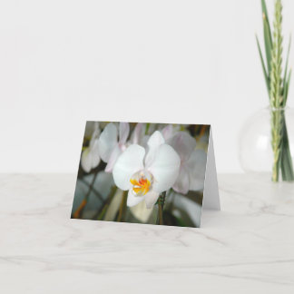 Carte d'orchidée à papillon blanc
