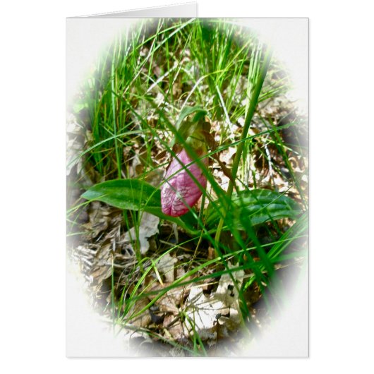 Carte d'orchidée sauvage Lady Slipper (Devant)