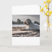 Carte doré sur la plage (Fleur jaune)