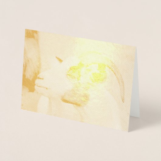 Carte Dorée Chèvre de Calico (Devant)