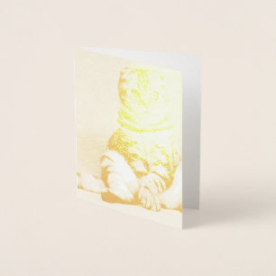 Carte Dorée Cute Kitten S'Est Étendu