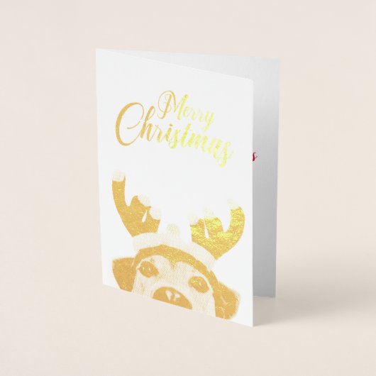 Carte Dorée Sympa Christmas Chien Reindeer Antler Headband (Devant)