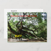 Carte d'organisation RUFF (Devant / Derrière)