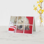 Carte dormant Golden Retriever dans la fenêtre avec cade (Fleur jaune)