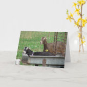 Carte Dormir dans mon mangeur (Fleur jaune)