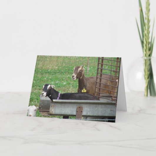 Carte Dormir dans mon mangeur (Devant)