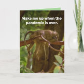 Carte Dormir Le Singe - Réveillez-Moi Quand La Pandémie (Devant)