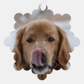 Carte d'ornement de Noël de votre chien (Recto)