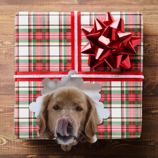 Carte d'ornement de Noël de votre chien (Insitu (Cadeau))