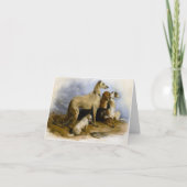 Carte Dos de couleur vive ou de couleur vive (Devant)