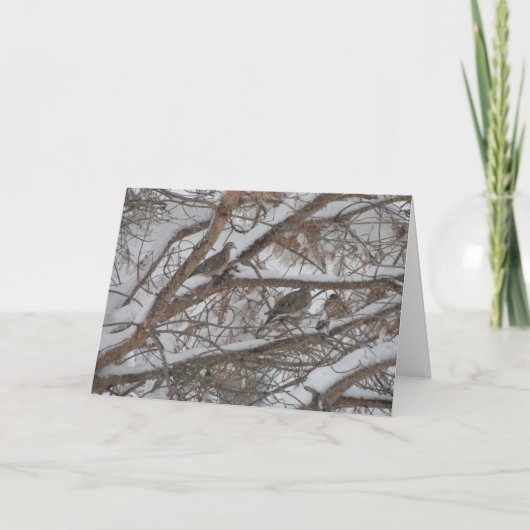 Carte Doses Dans Le Pin Neige (Devant)