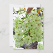 Carte Double Cherry Blossom: Gioiko (Devant)