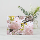 Carte Double Cherry Blossom: Oh-jochin (Debout devant)