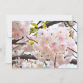 Carte Double Cherry Blossom: Oh-jochin (Devant)