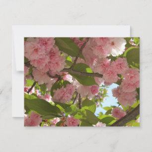 Carte Double floraison cerisier III printemps fleuri