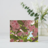 Carte Double floraison cerisier III printemps fleuri (Debout devant)
