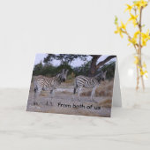 Carte Double Take Zebra Birthday Card (Fleur jaune)