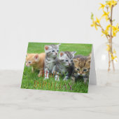 Carte Douce chiot kitties photo (Fleur jaune)