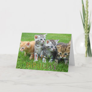 Carte Douce chiot kitties photo