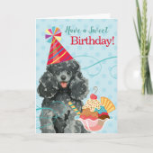 Carte Douce Poodle Jouet d'anniversaire (Devant)